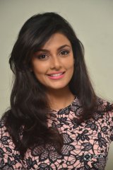 Anisha Ambrose At Fashion Designer Movie Press meet